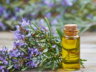 Rosemary oil